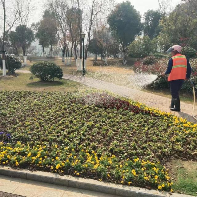 威尼斯wns8885556官方入口芜湖经开区：高尺度绿化养护绘就经开春光图(图2)