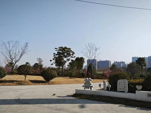 威尼斯wns8885556官方入口芜湖经开区：高尺度绿化养护绘就经开春光图(图3)