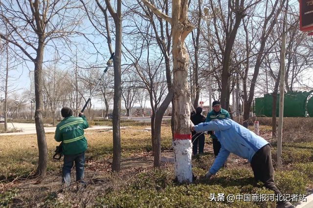 威尼斯网址河北广宗：抢抓春季园林养护“黄金期”片面提拔城区绿化养护程度(图3)