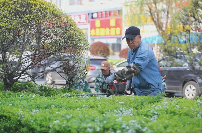 威尼斯官网吉林市龙潭区绿化养护片面晋级 城区情况面目一新(图1)