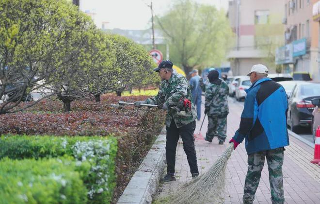 威尼斯官网吉林市龙潭区绿化养护片面晋级 城区情况面目一新(图2)